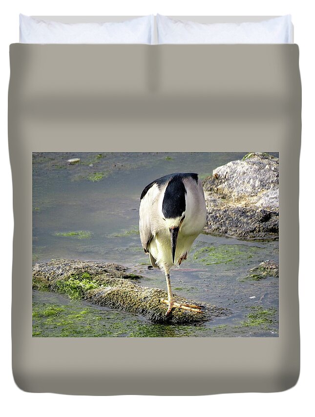 Birds Duvet Cover featuring the photograph Balance by Linda Stern