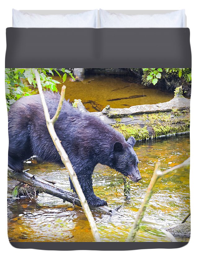 Wildlife. Black Bear Duvet Cover featuring the photograph Balancing Act by Harold Piskiel