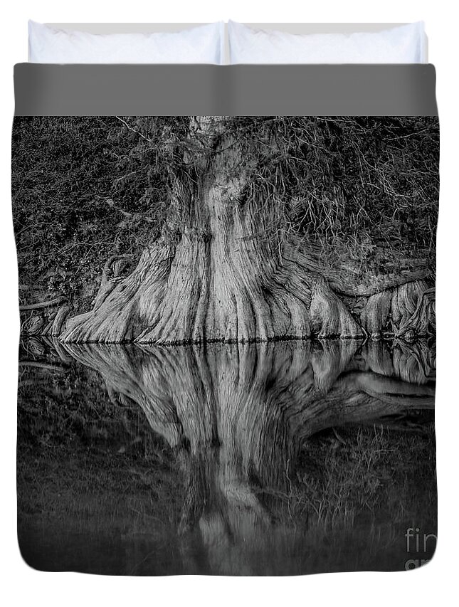 Bald Cypress Reflection In Black And White Michael Tidwell Guadalupe River Mike Tidwell Duvet Cover featuring the photograph Bald Cypress Reflection in Black and White by Michael Tidwell