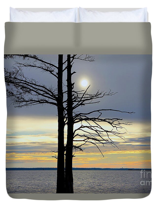 Bald Cypress Silhouette Duvet Cover featuring the photograph Bald Cypress Silhouette by Karen Jorstad