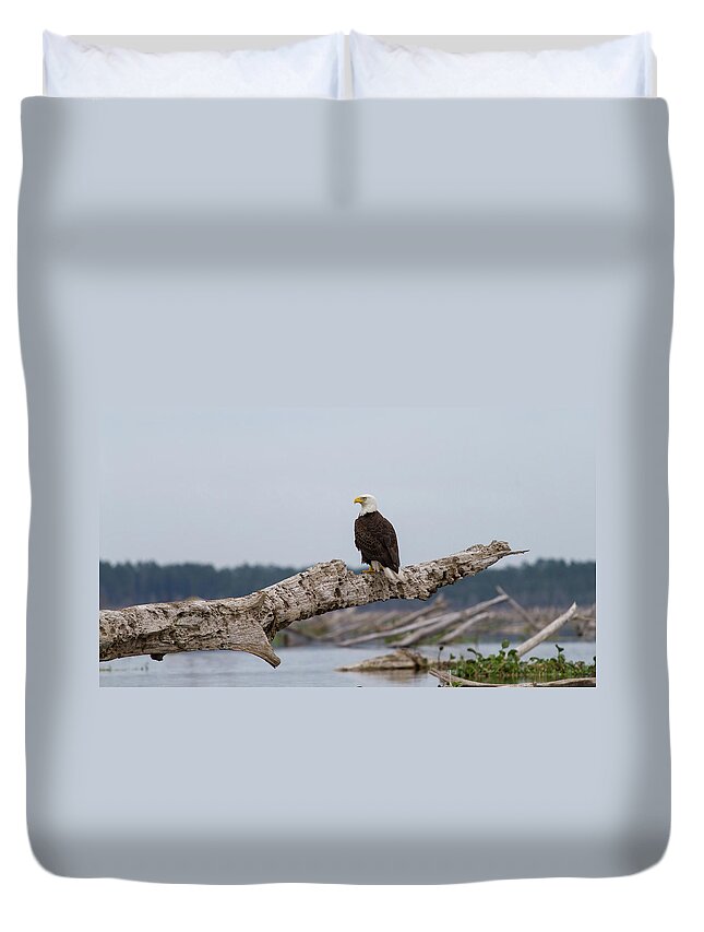 Bald Eagle Duvet Cover featuring the photograph Bald Eagle #1 by Paul Rebmann