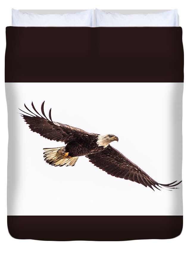 Bald Eagle Duvet Cover featuring the photograph Bald Eagle 2 by Jedediah Hohf