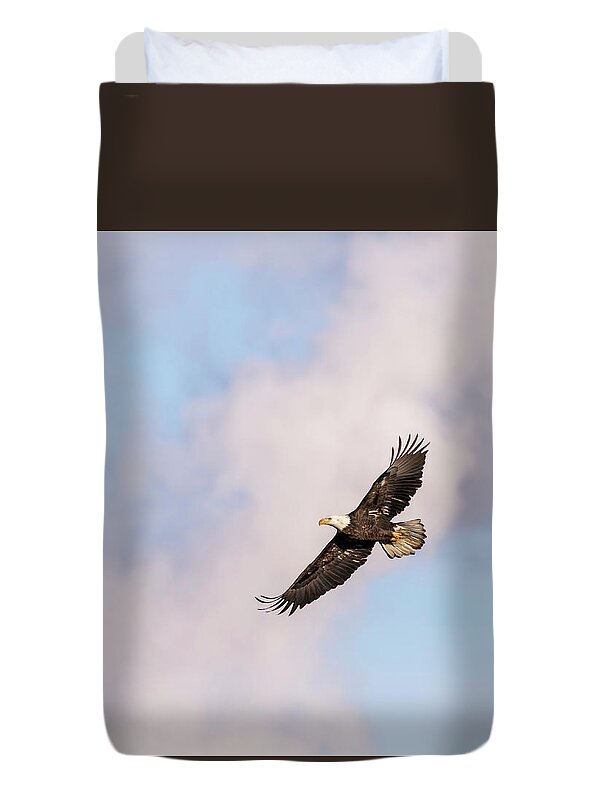 American Bald Eagle Duvet Cover featuring the photograph Bald Eagle 2017-5 by Thomas Young