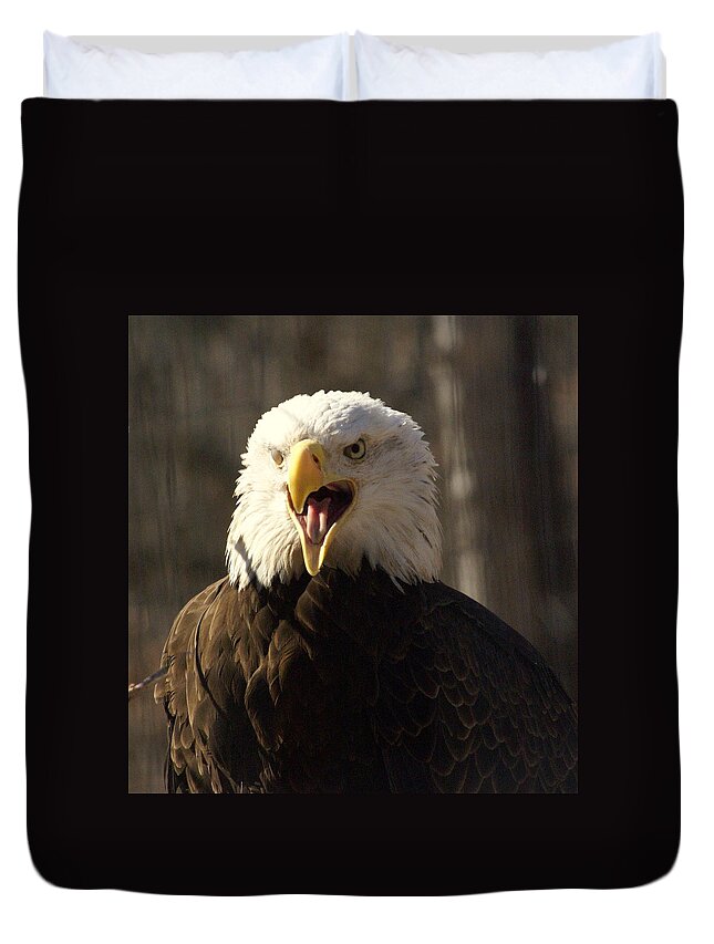 Birds Duvet Cover featuring the photograph Bald Eagle 4 by Marty Koch