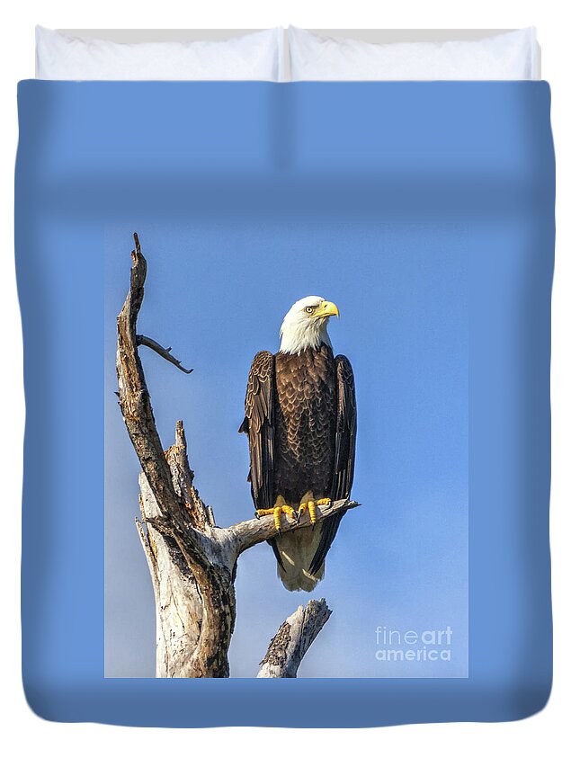Bald Eagle Duvet Cover featuring the photograph Bald Eagle 6366 by Gulf Coast Aerials -