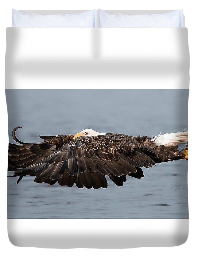 Bald Duvet Cover featuring the photograph Bald Eagle and Fish by Jack Nevitt