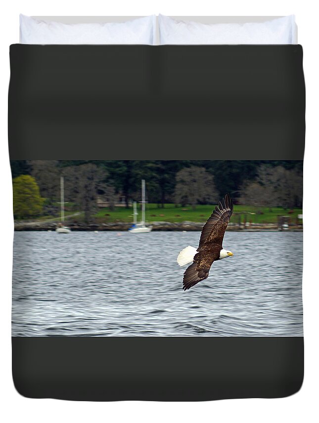 Eagle Duvet Cover featuring the photograph Bald Eagle by Cameron Wood