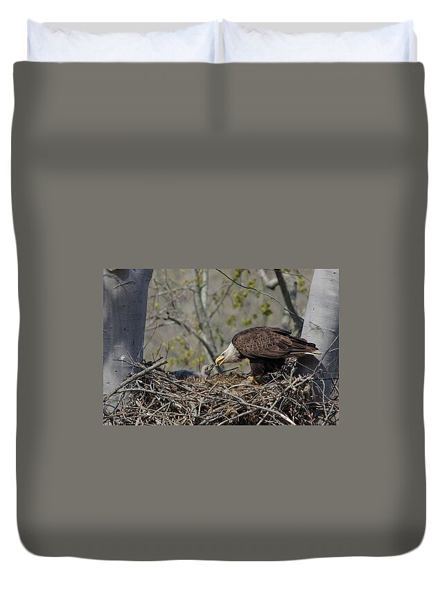 Adult Duvet Cover featuring the photograph Bald Eagle Feeding by Ann Bridges
