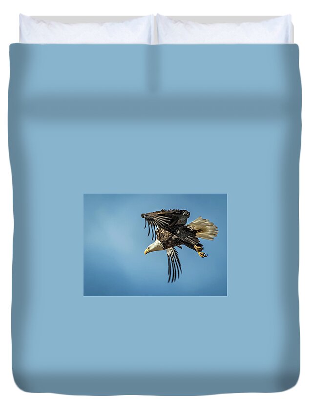 Bald Eagle Duvet Cover featuring the photograph Bald Eagle Flight 1 by Dawn Key