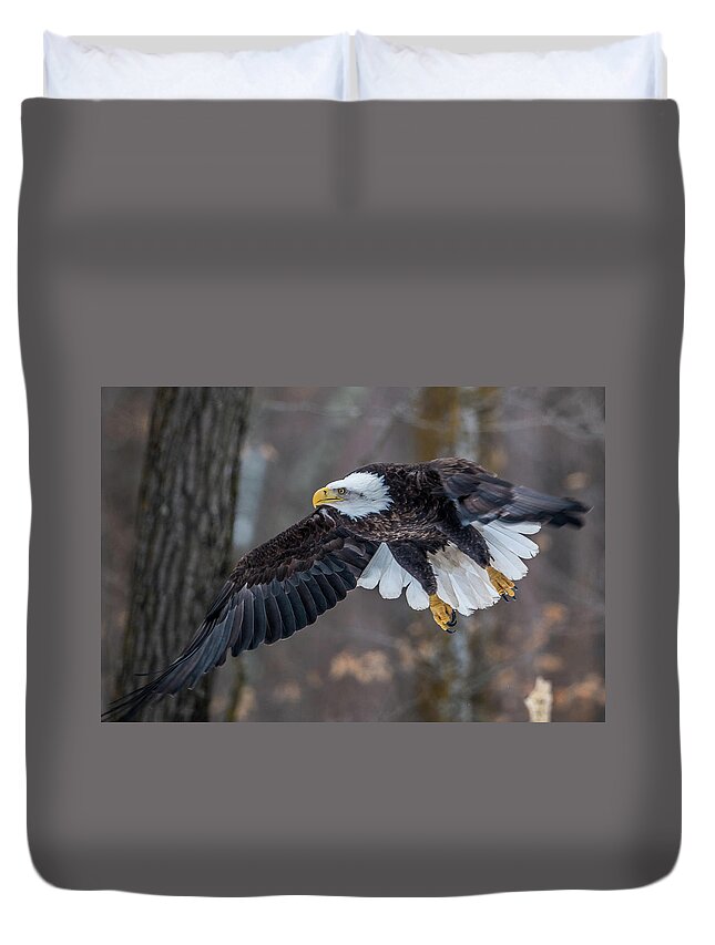 Bald Eagle Duvet Cover featuring the photograph Bald Eagle Flying Thru the Forest by Paul Freidlund