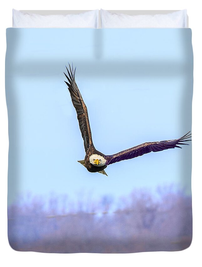 Bird Duvet Cover featuring the photograph Bald Eagle Flying Toward You by William Bitman