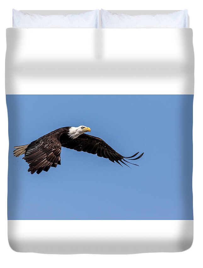 Bald Duvet Cover featuring the photograph Bald Eagle Gaining Altitude by Rob Green