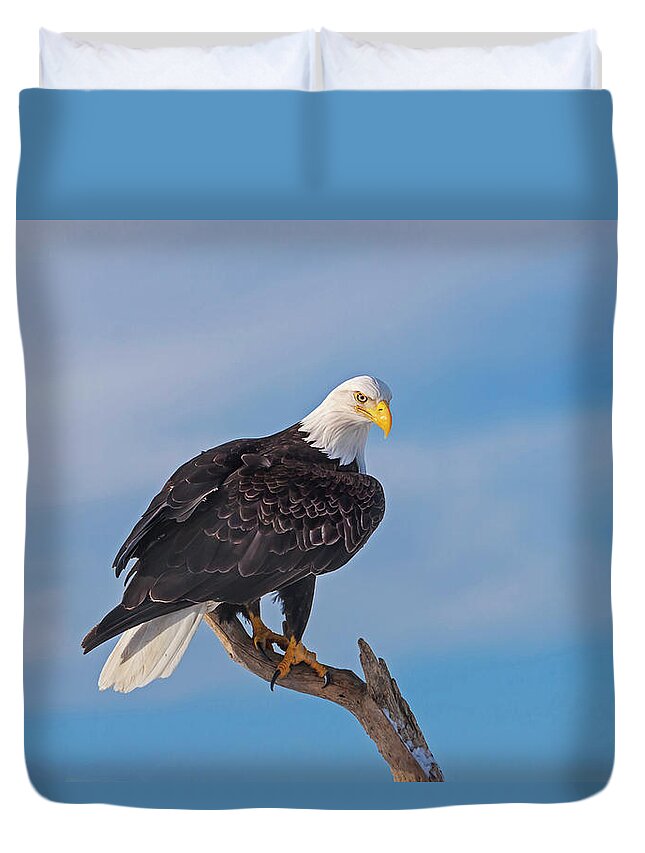 Bald Eagle Duvet Cover featuring the photograph Bald Eagle Majesty by Mark Miller