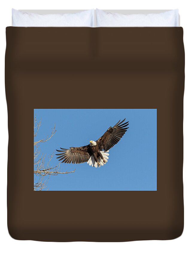 Bald Eagle Duvet Cover featuring the photograph Bald Eagle On Final Approach by Tony Hake