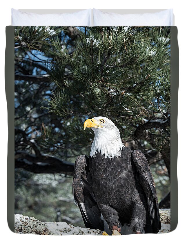 America Duvet Cover featuring the photograph Bald Eagle Ready for Flight by Art Atkins