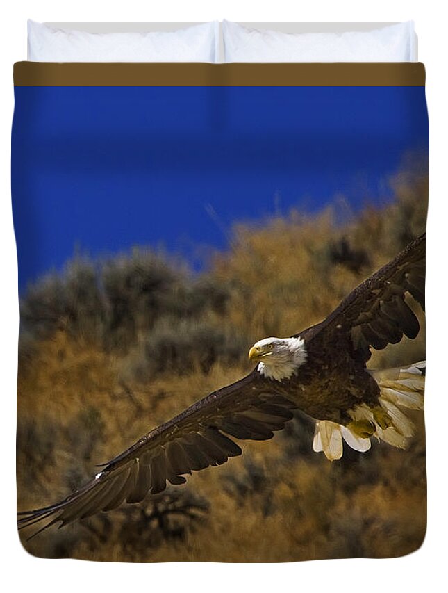 Haliaeetus Leucocphalus Duvet Cover featuring the photograph Bald Eagle Wing Spread-Signed by J L Woody Wooden
