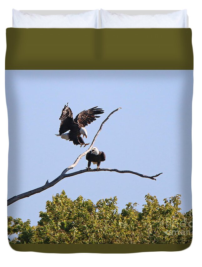 Bald Eagles Duvet Cover featuring the photograph Bald Eagles 1277 by Jack Schultz