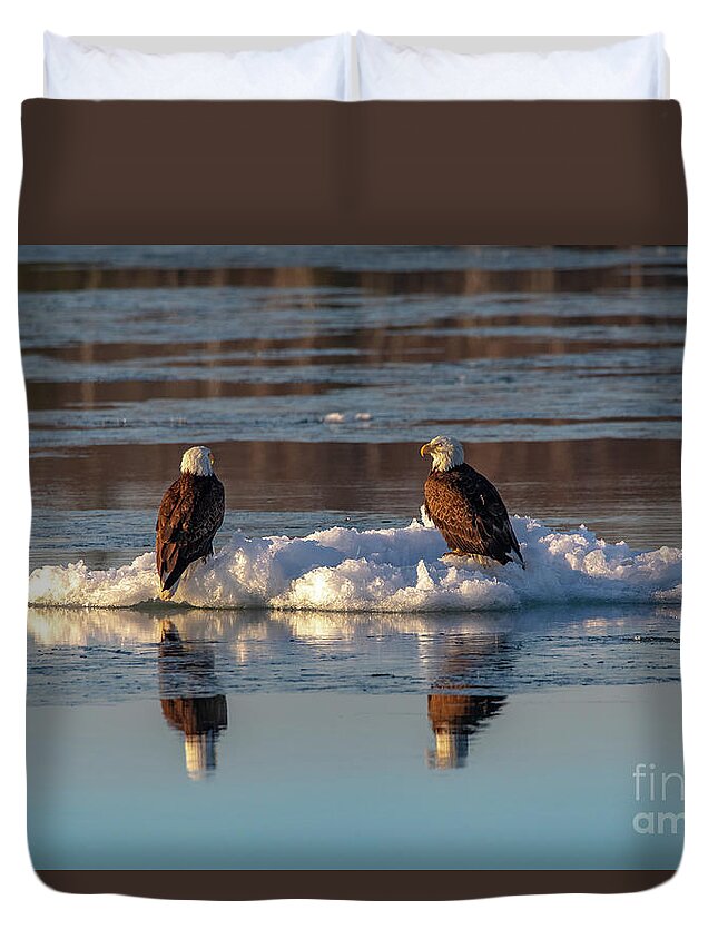 Eagles Duvet Cover featuring the photograph Bald Eagles On Ice -5176 by Norris Seward