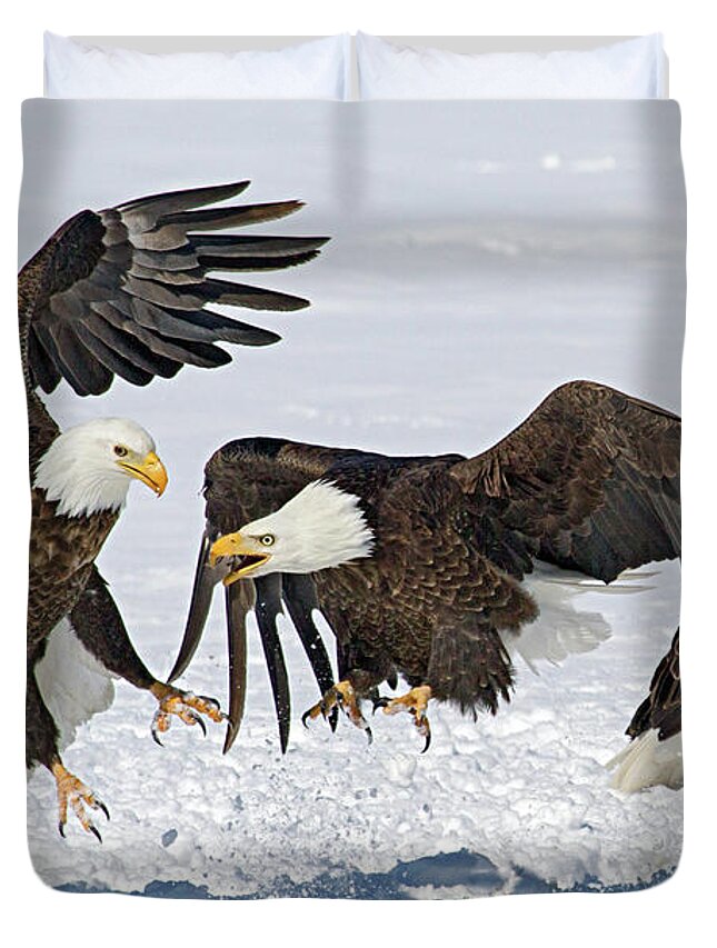 Eagle Duvet Cover featuring the photograph Bald Eagle's by Wesley Aston