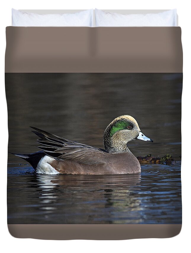 American Wigeon Duvet Cover featuring the photograph Baldpate by Tony Beck