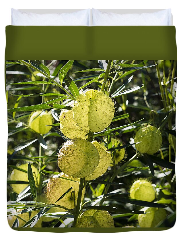 Gardens Duvet Cover featuring the photograph Balloon plant by Steven Ralser