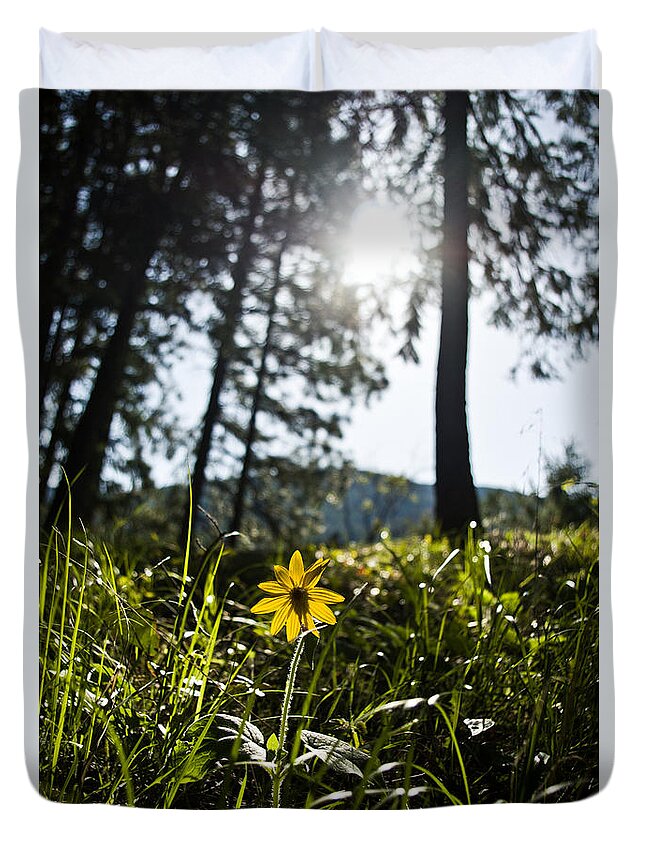 Flower Duvet Cover featuring the photograph Balsamroot by Jedediah Hohf