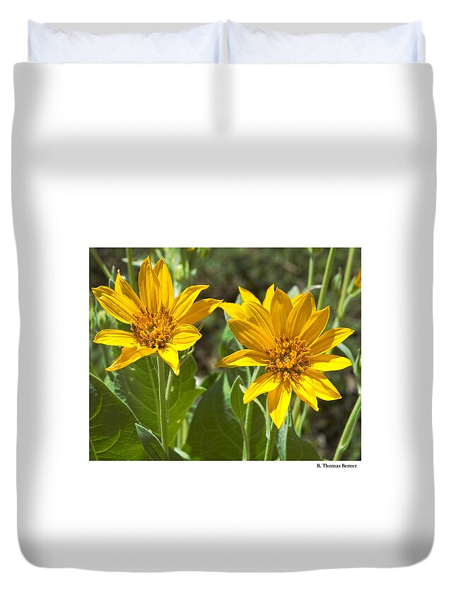  Duvet Cover featuring the photograph Balsamroot by R Thomas Berner