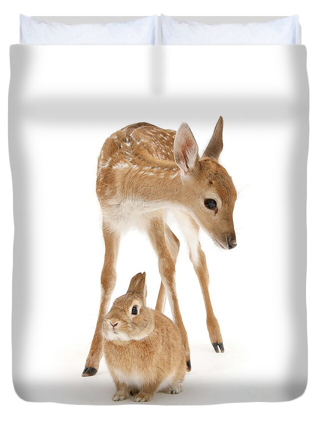 Fallow Deer Duvet Cover featuring the photograph Bambi and Thumper by Warren Photographic