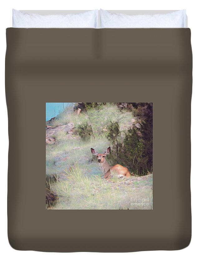 Jon Burch Duvet Cover featuring the photograph Bambi - The Early Years by Jon Burch Photography