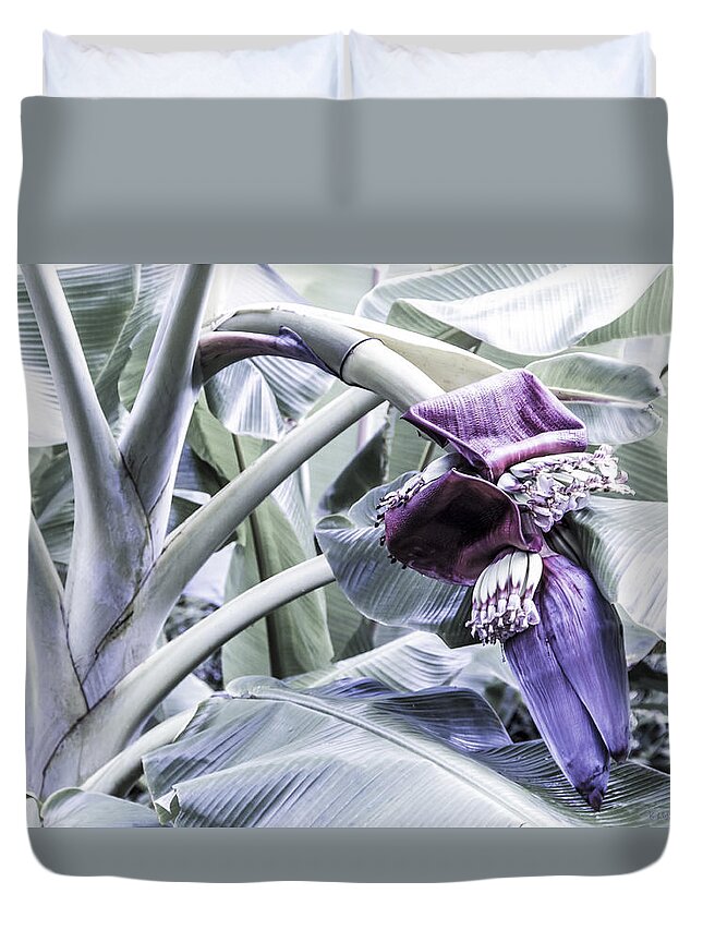 Banana Duvet Cover featuring the photograph Banana Beginnings in Cool Shades by Kerri Ligatich