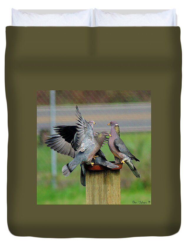 Birds Duvet Cover featuring the photograph Band-Tailed Pigeons #1 by Ben Upham III