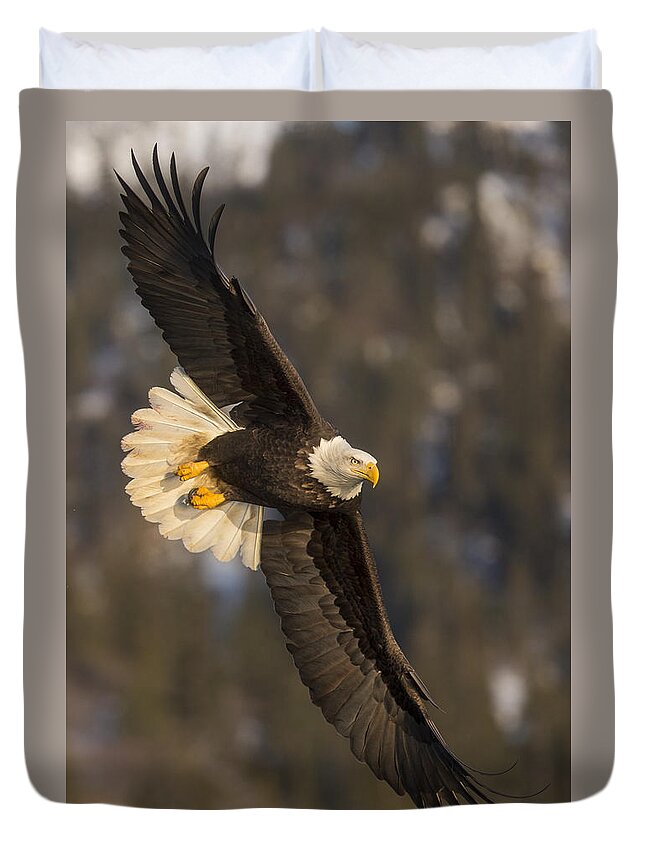 Alaska Duvet Cover featuring the photograph Banking Bald Eagle by D Robert Franz