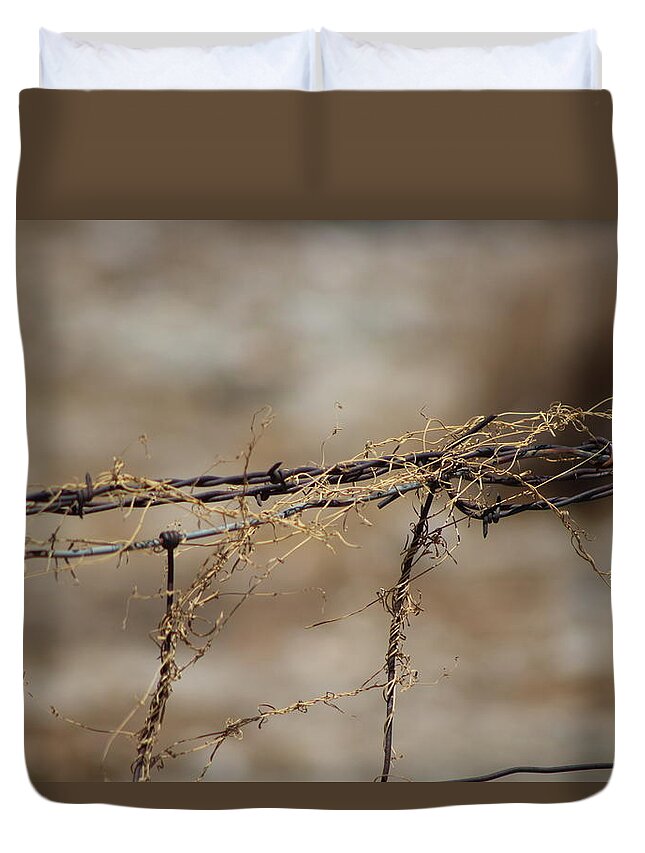 Golden Duvet Cover featuring the photograph Barbed Wire Entwined with Dried Vine in Autumn by Colleen Cornelius