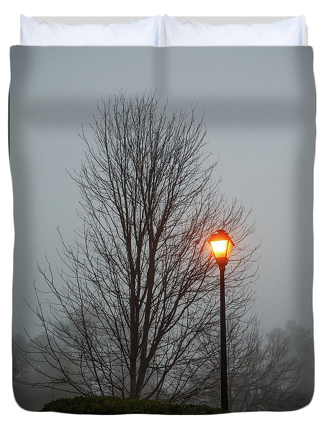Bare Duvet Cover featuring the photograph Bare Tree and Street Light in Early Morning Fog by Darryl Brooks