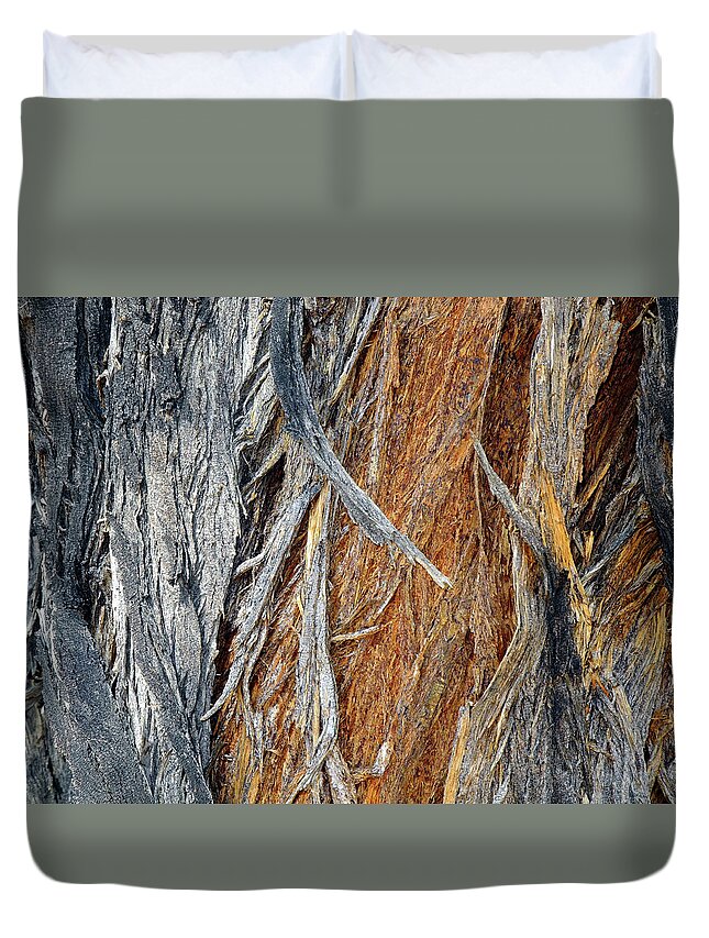 Tree Duvet Cover featuring the photograph Bark of Palm by Lynda Lehmann