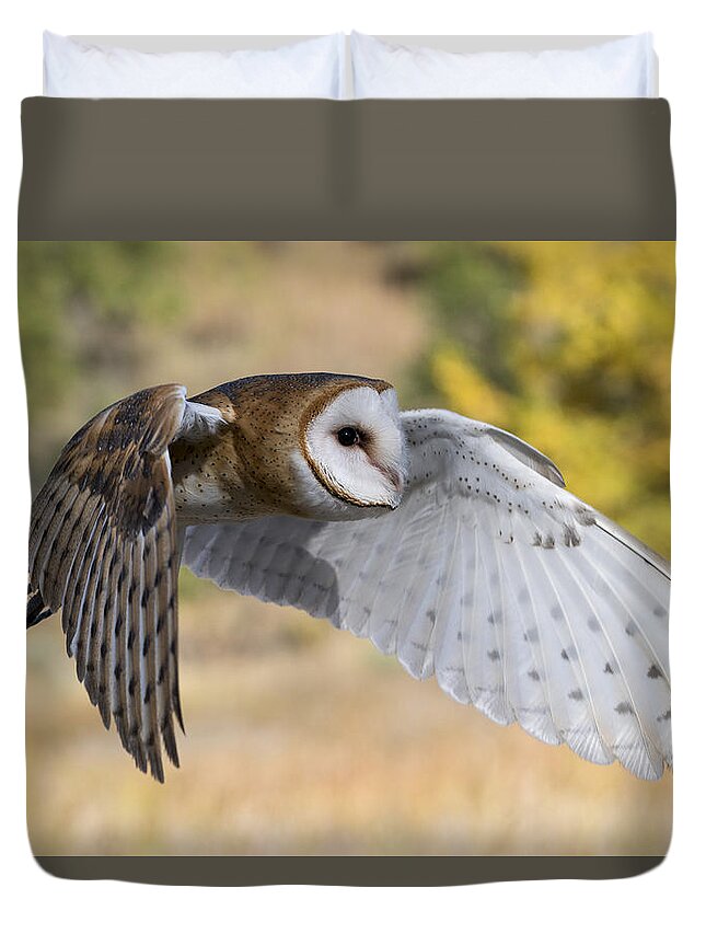 Owl Duvet Cover featuring the photograph Barn Owl in Flight by David Soldano