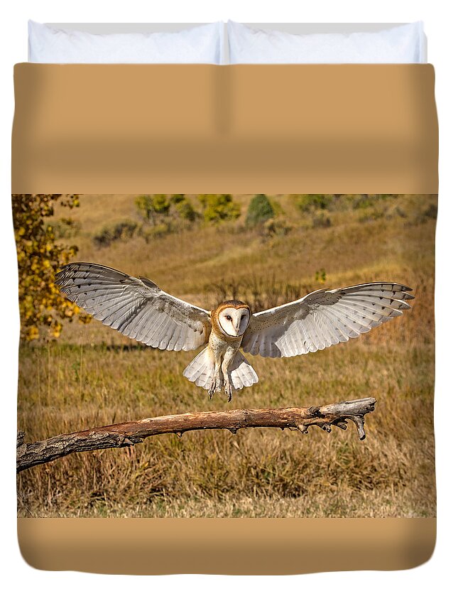 Barn Owl Duvet Cover featuring the photograph Barn Owl Landing by Dawn Key