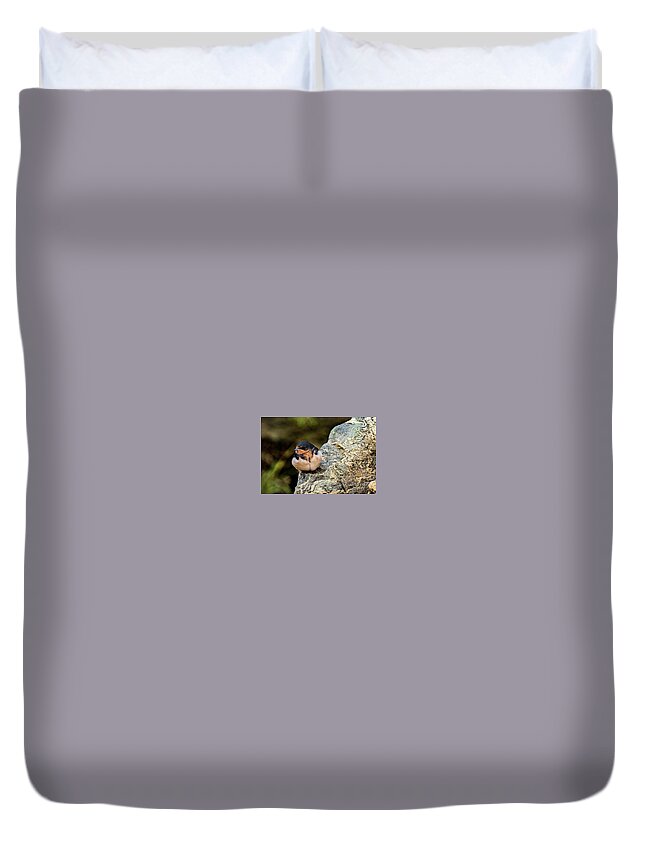 Tree Swallow Duvet Cover featuring the photograph Tree Swallow by Jim Gillen
