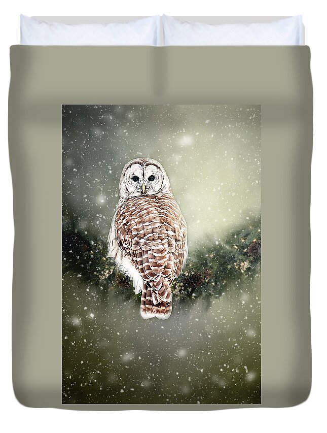 Barred Owl Print Duvet Cover featuring the photograph Barred Owl in the Snow by Gwen Gibson