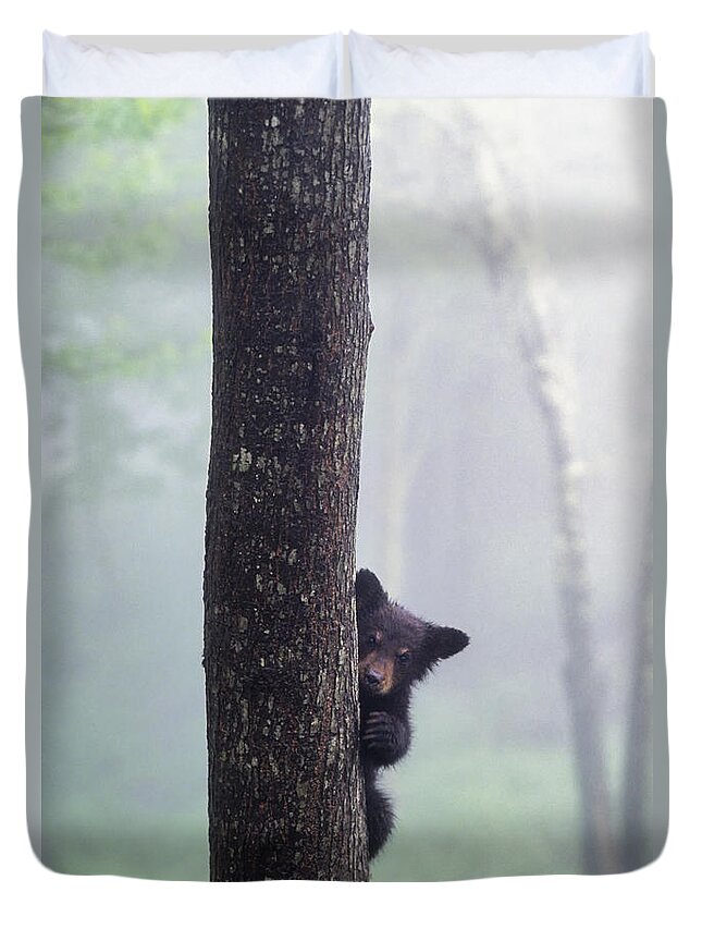 Black Duvet Cover featuring the photograph Bashful Bear Cub - FS000230 by Daniel Dempster