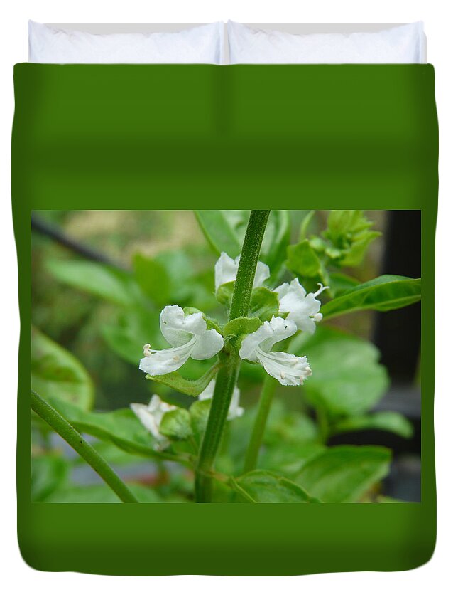 Plant Duvet Cover featuring the photograph Basil Blossom by Valerie Ornstein