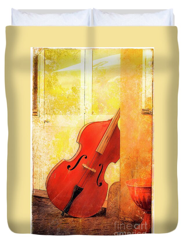 Forum Duvet Cover featuring the photograph Bass Violin by Craig J Satterlee