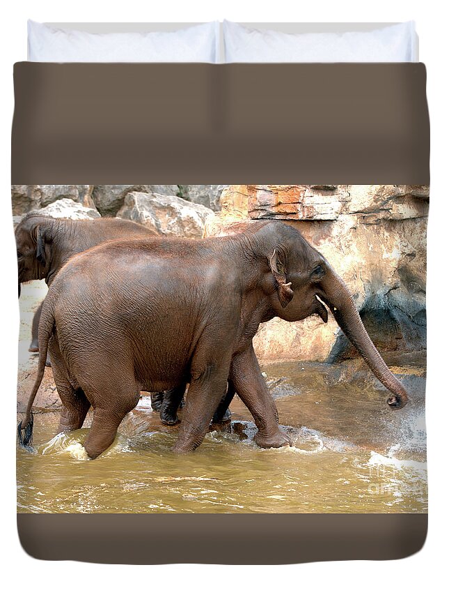 Elephants Duvet Cover featuring the photograph Bath Time by Baggieoldboy