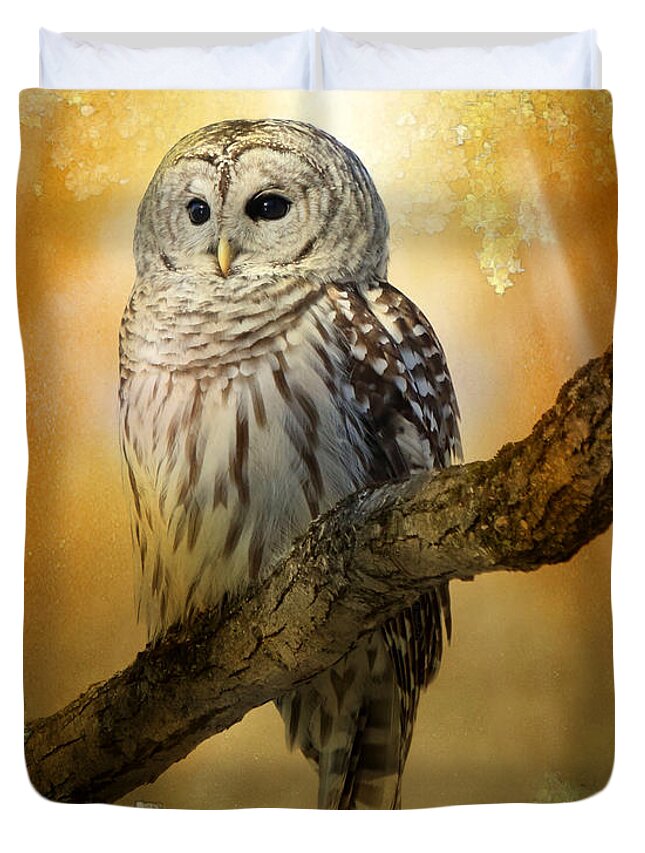 Owls Duvet Cover featuring the photograph Bathed in light by Heather King