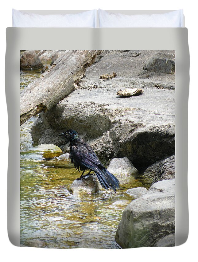Bath Duvet Cover featuring the photograph Bathing Grackle by Kimmary MacLean