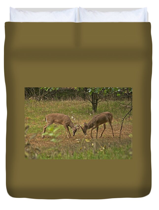 Whitetail Duvet Cover featuring the photograph Battling Whitetails 0102 by Michael Peychich