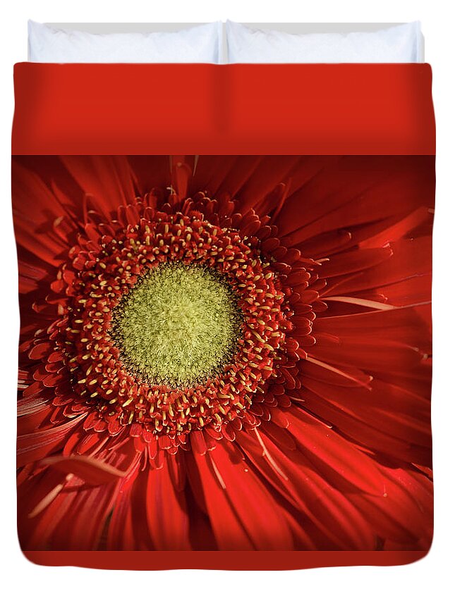 Red Duvet Cover featuring the photograph Be Bold by Vanessa Thomas