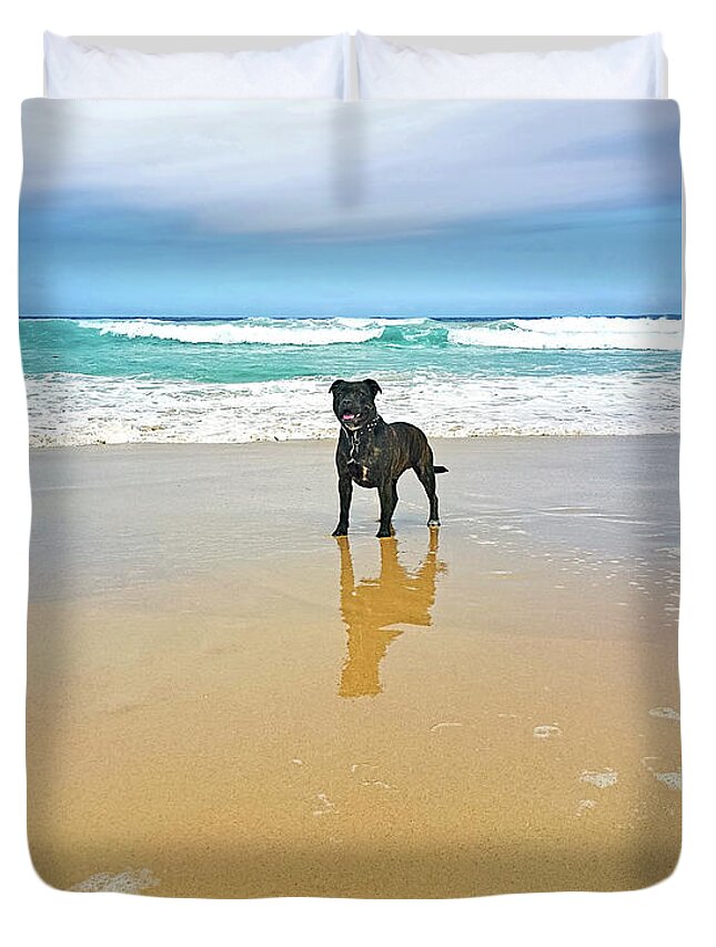Beach Dog Duvet Cover featuring the photograph Beach Dog and Reflection by Kaye Menner by Kaye Menner