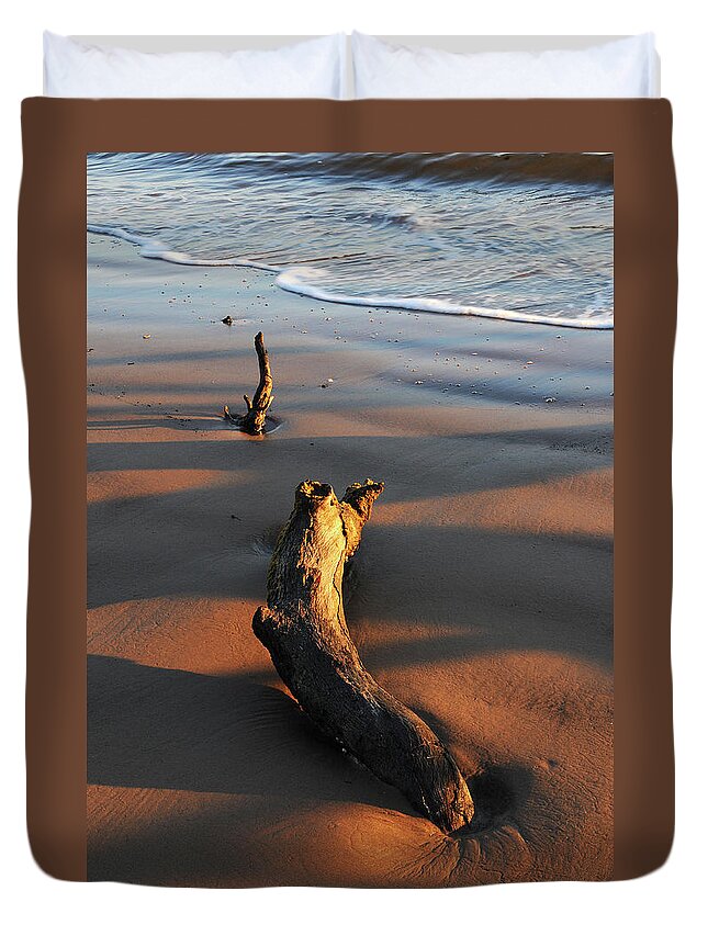 Beach Duvet Cover featuring the photograph Beach Driftwood by Ted Keller