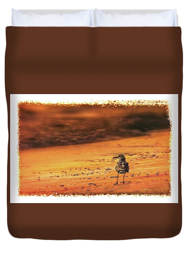 Nature Duvet Cover featuring the photograph Beach Gull by Marvin Spates